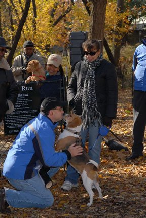 St nicholas park dog run cheap