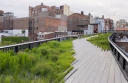 Rendering of the High Line