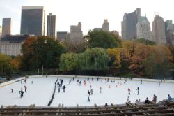Central Park’s Wollman Rink.