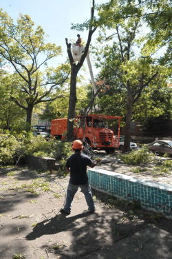 September storm cleanup in Brooklyn’s Washington Park.
