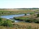 Fresh Kills Park