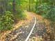 Greenway