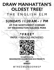 Tree Wonder Drawing Sessions - May 5, 2024 : NYC Parks