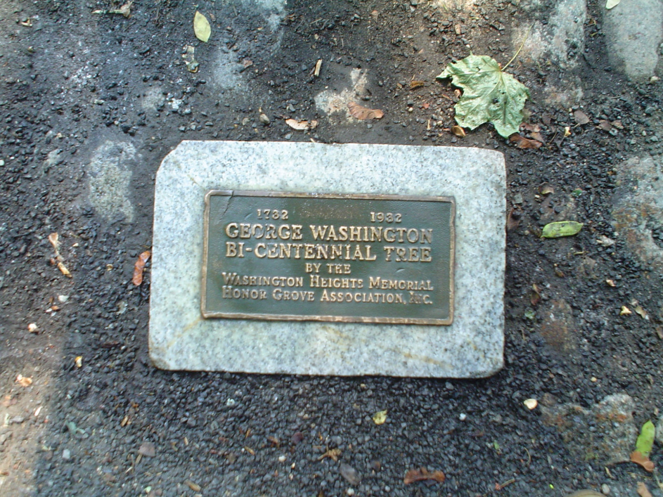 George Washington Bicentennial Tree Marker