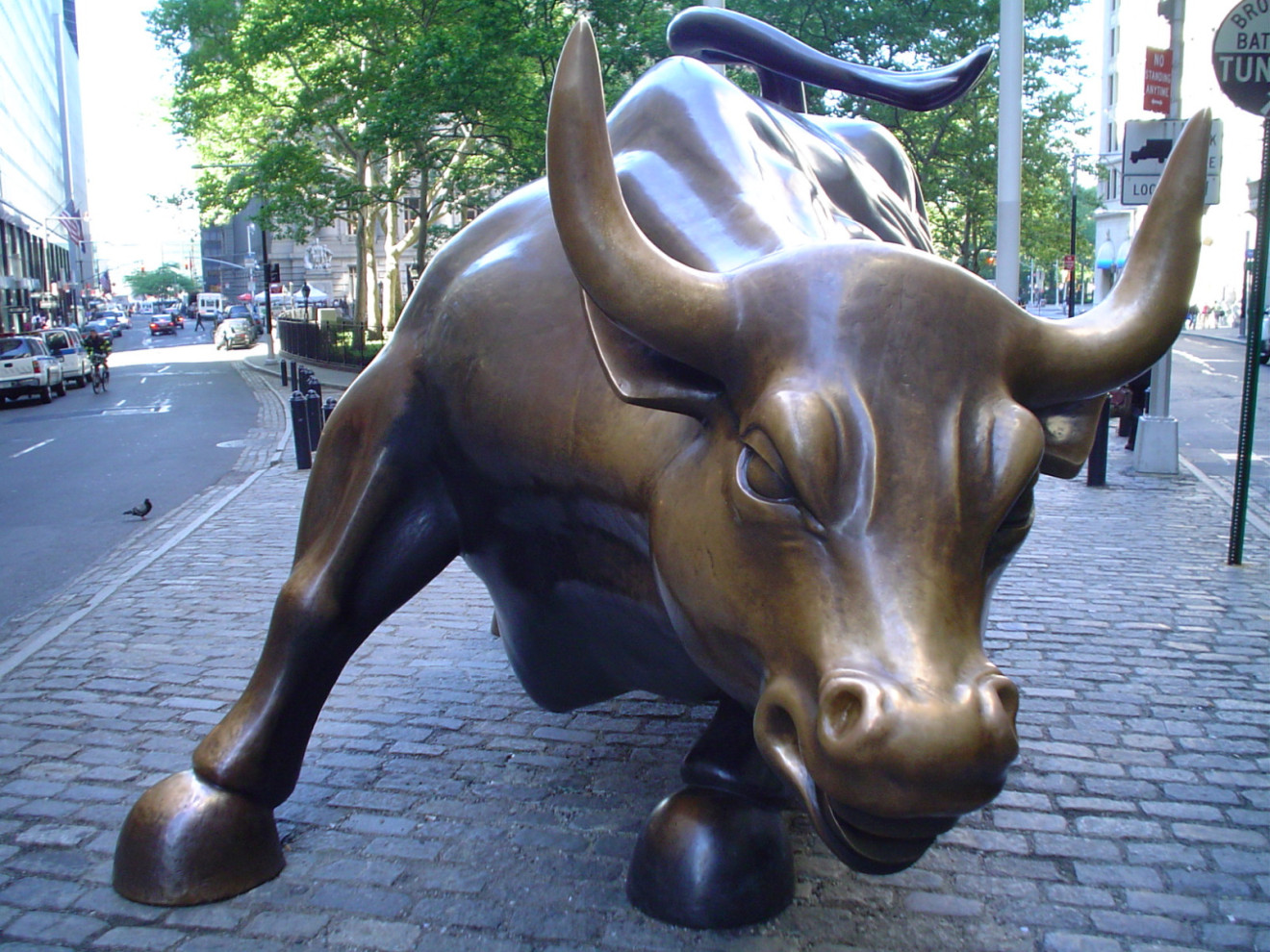 Charging Bull