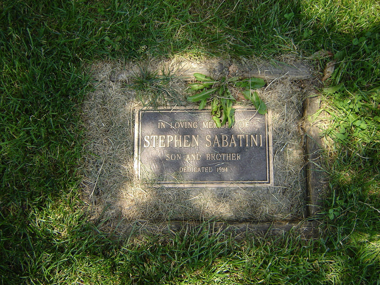 Stephen Sabatini Memorial