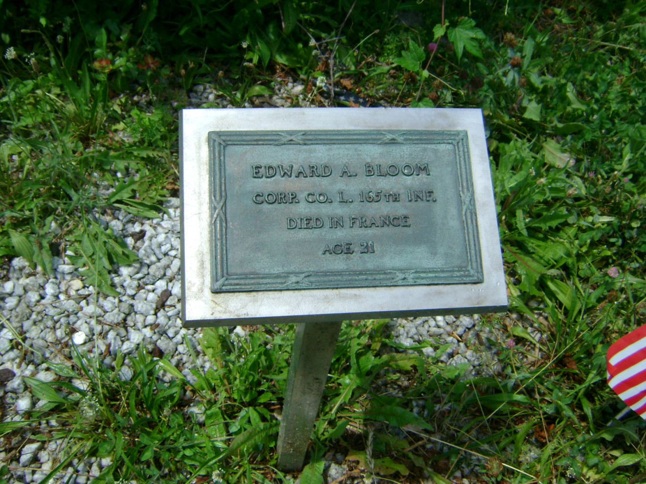 Gill and Bloom Plaques