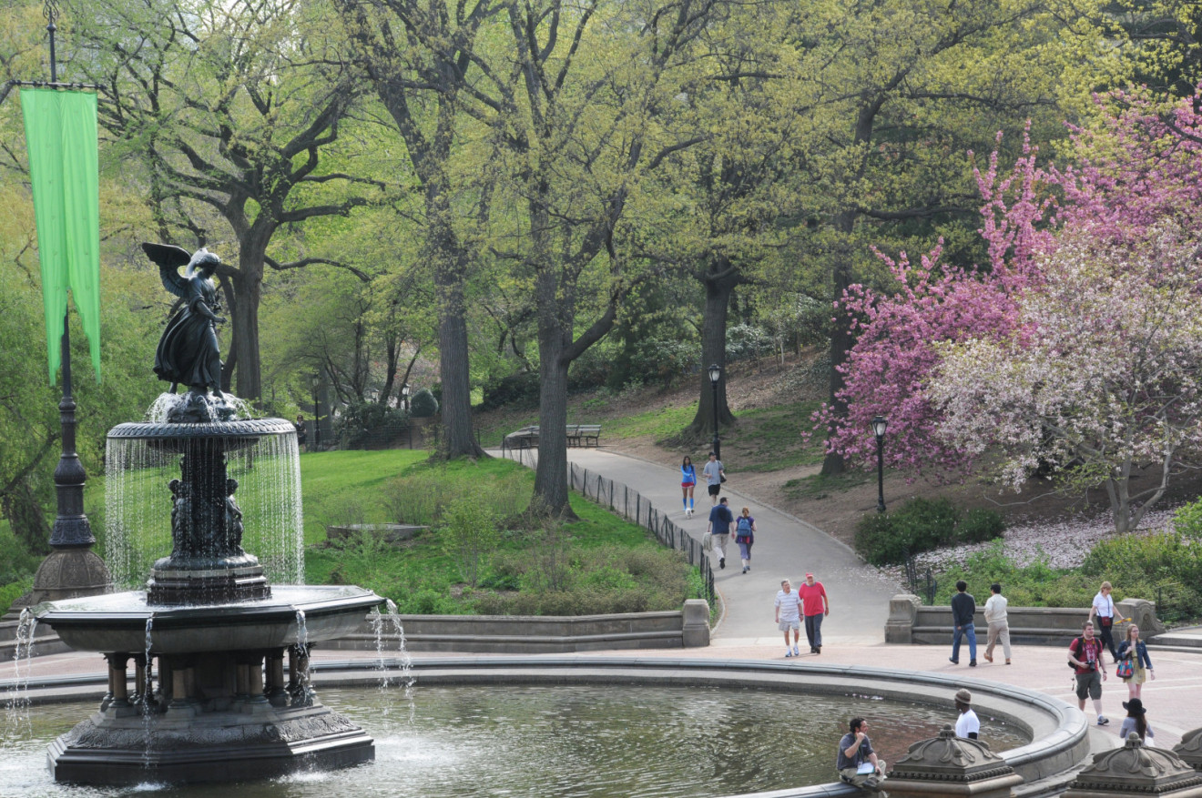 Bethesda Fountain and Terrace