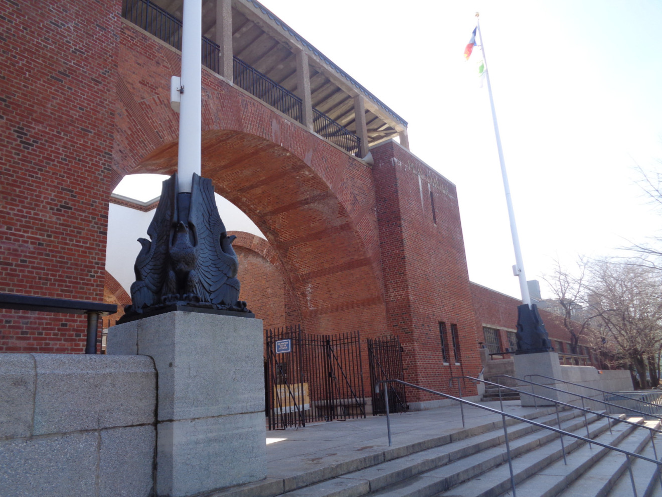 McCarren Pool Eagles