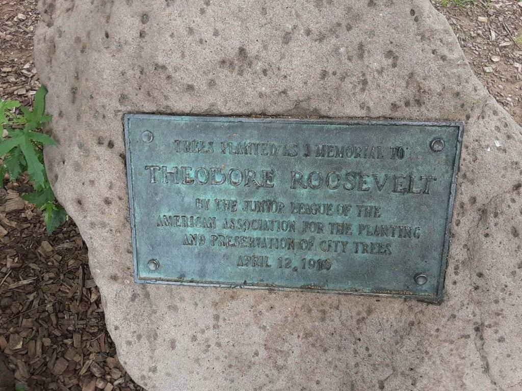 Theodore Roosevelt Tree Plaque