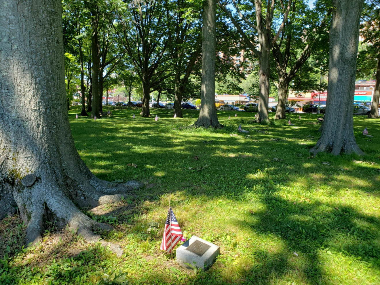 Van Cortlandt Memorial Grove