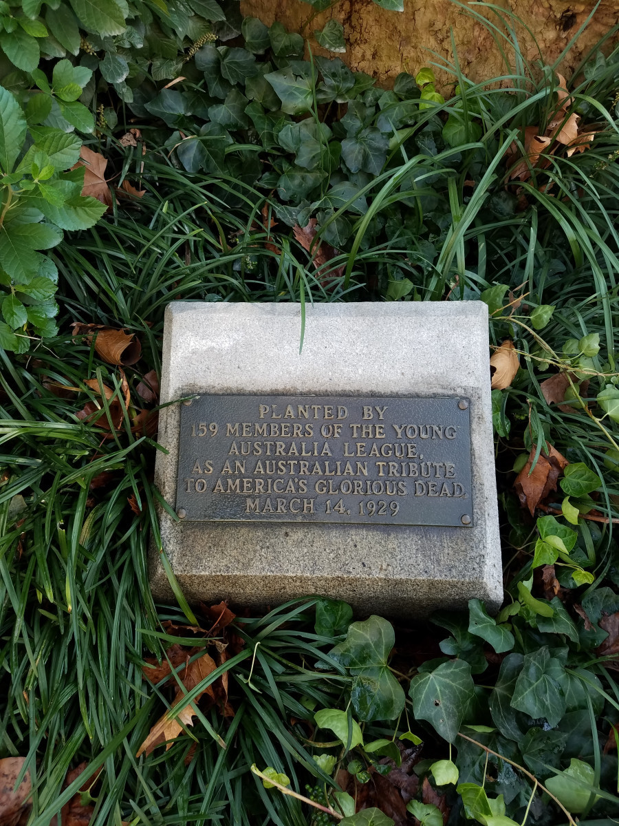 Australian Tree Marker