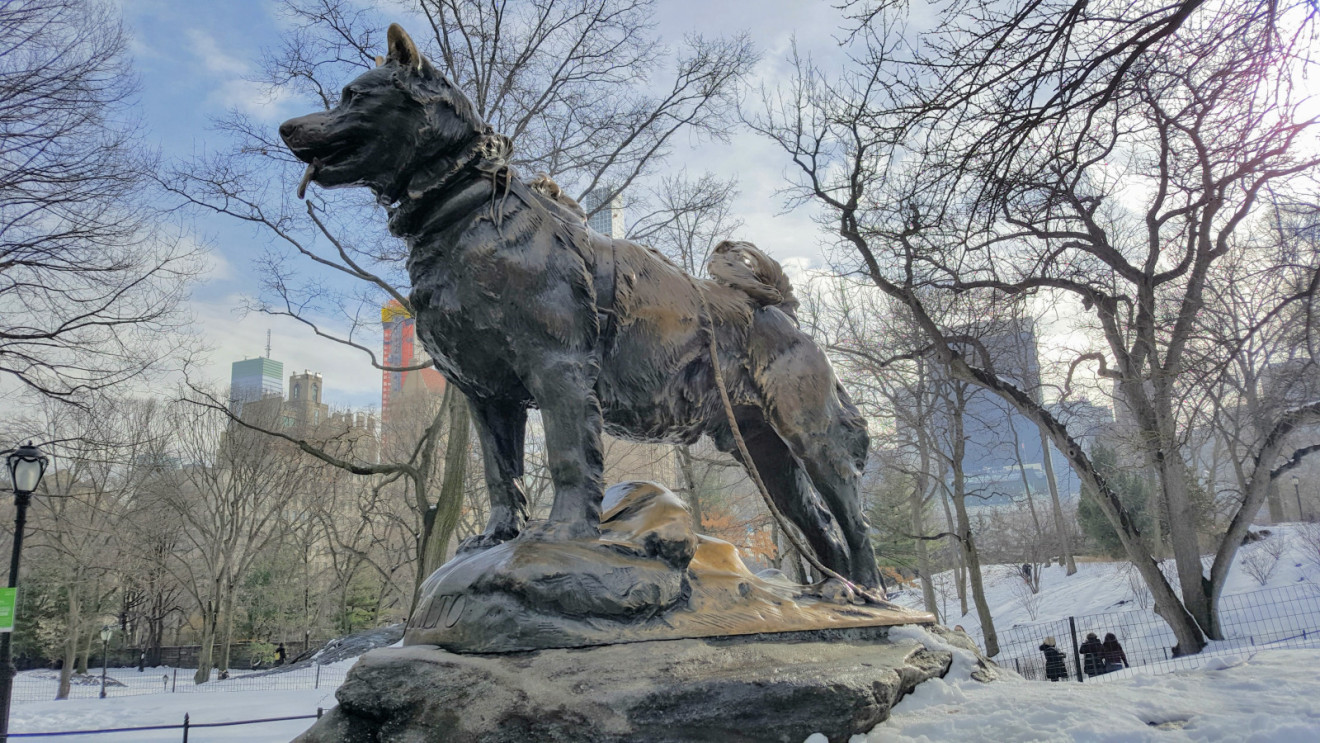 Balto