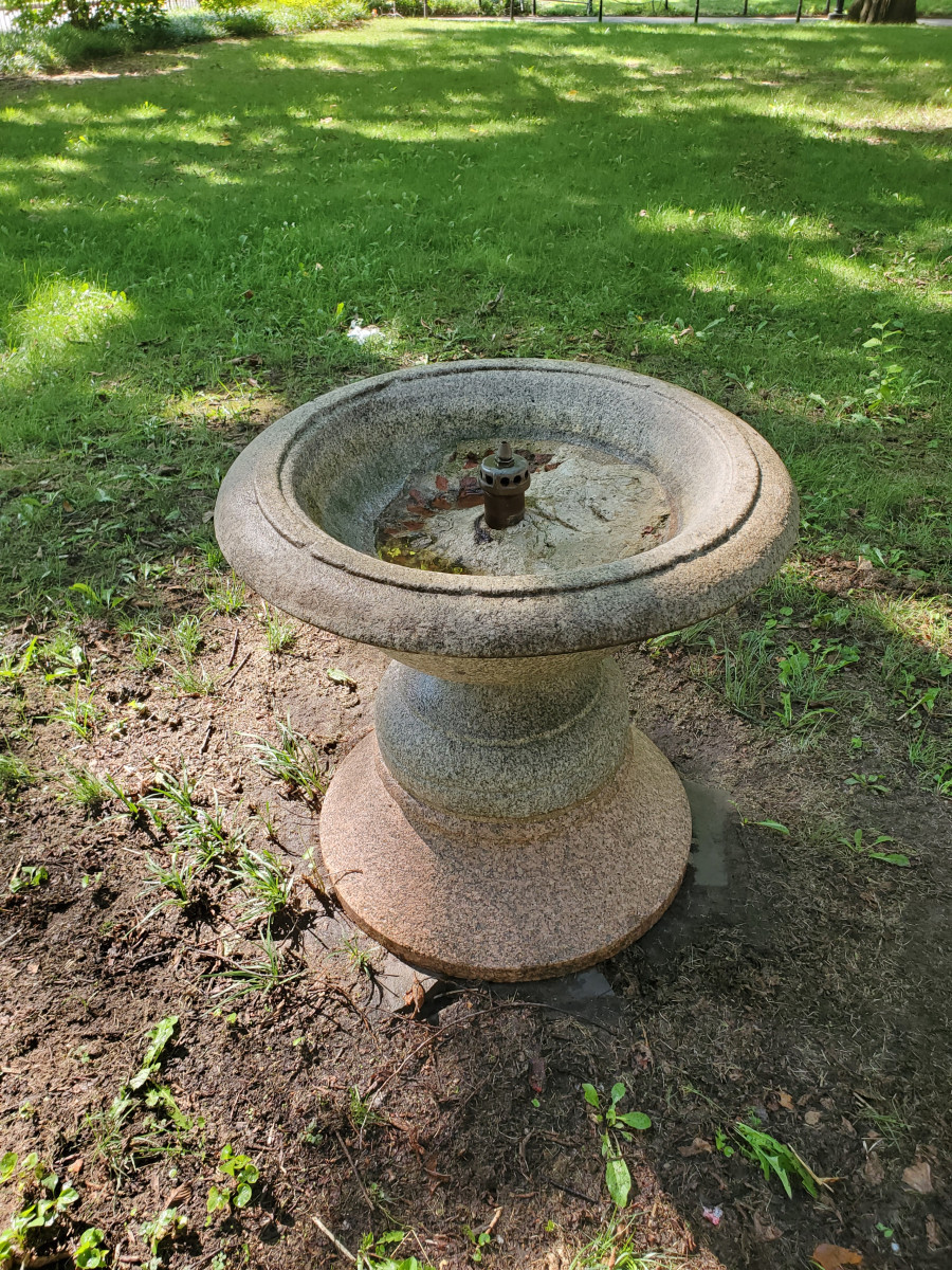Bird Bath