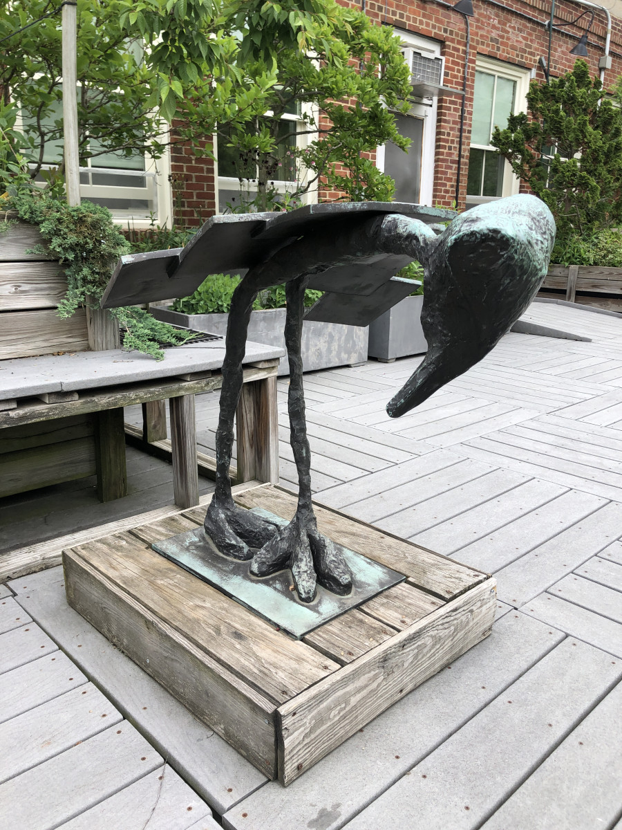 Bird Flying Machine