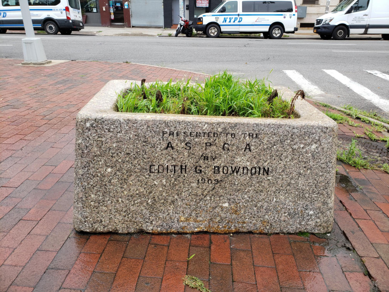 Bowdoin Horse Trough I
