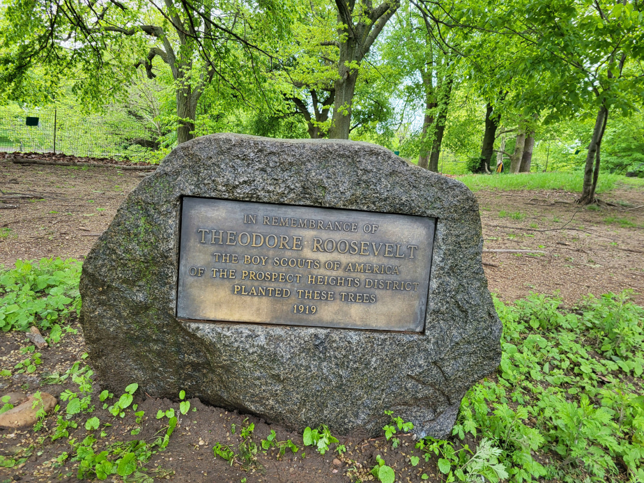 Boy Scout's Tablet