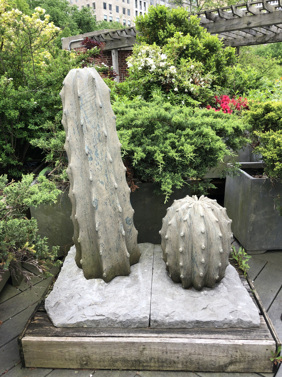 Cactus Couple