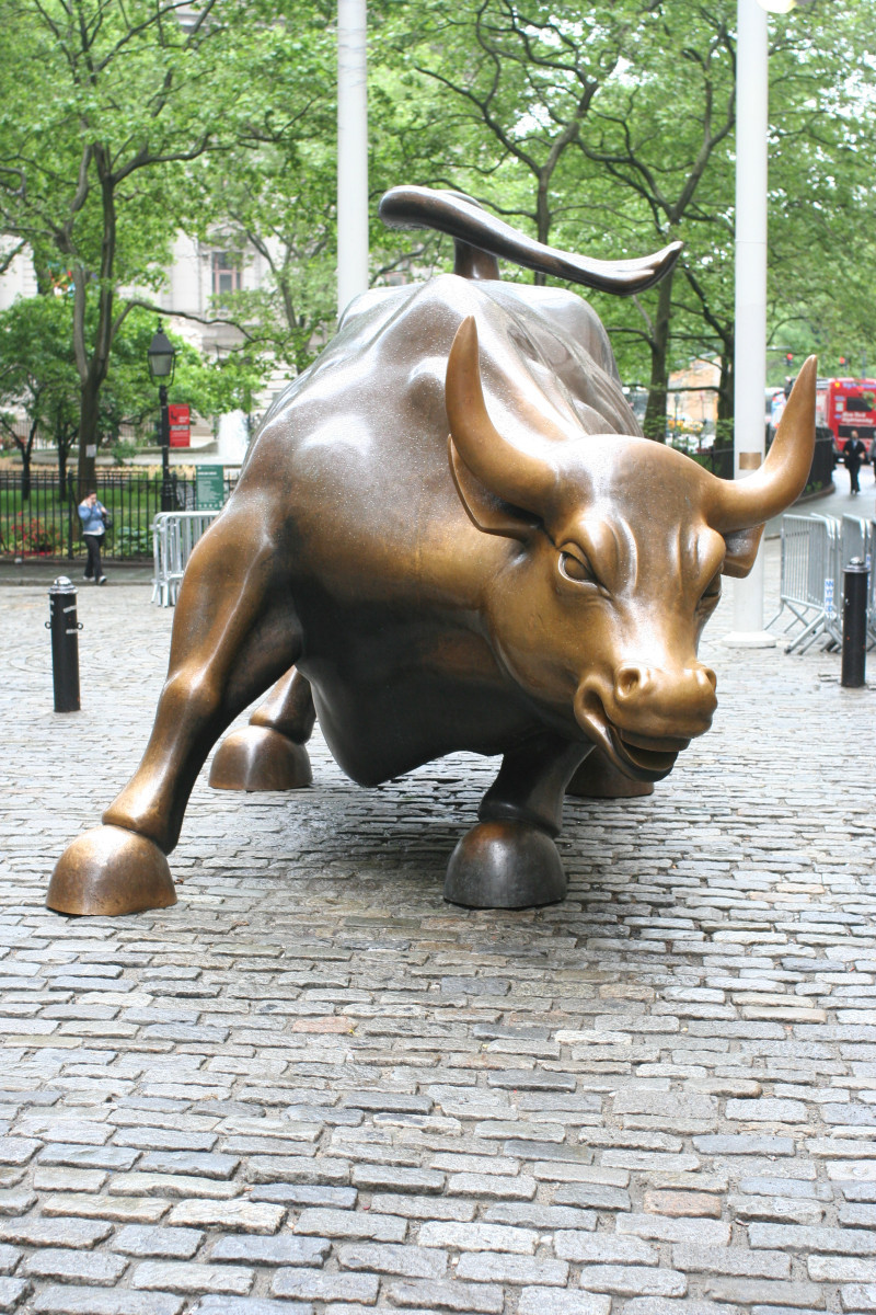 Charging Bull