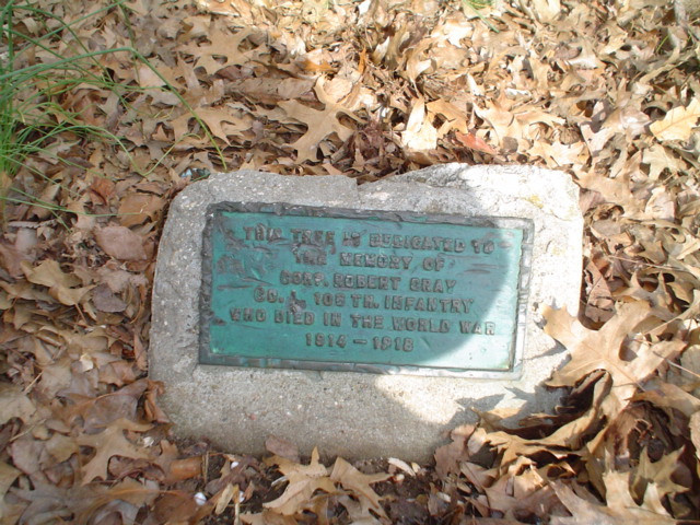 Corporal Robert Gray Tree Marker