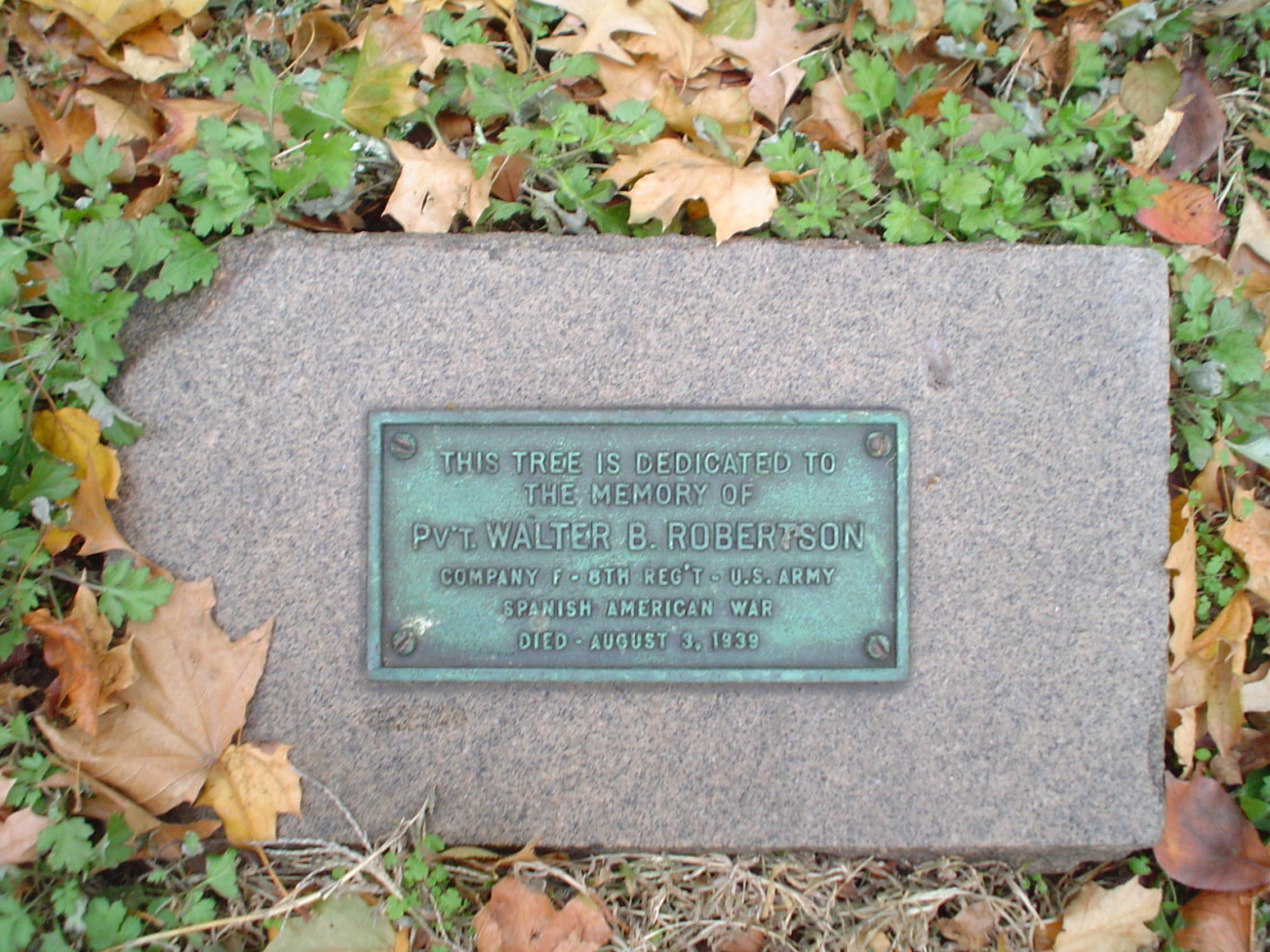 Tree marker on granite plinth