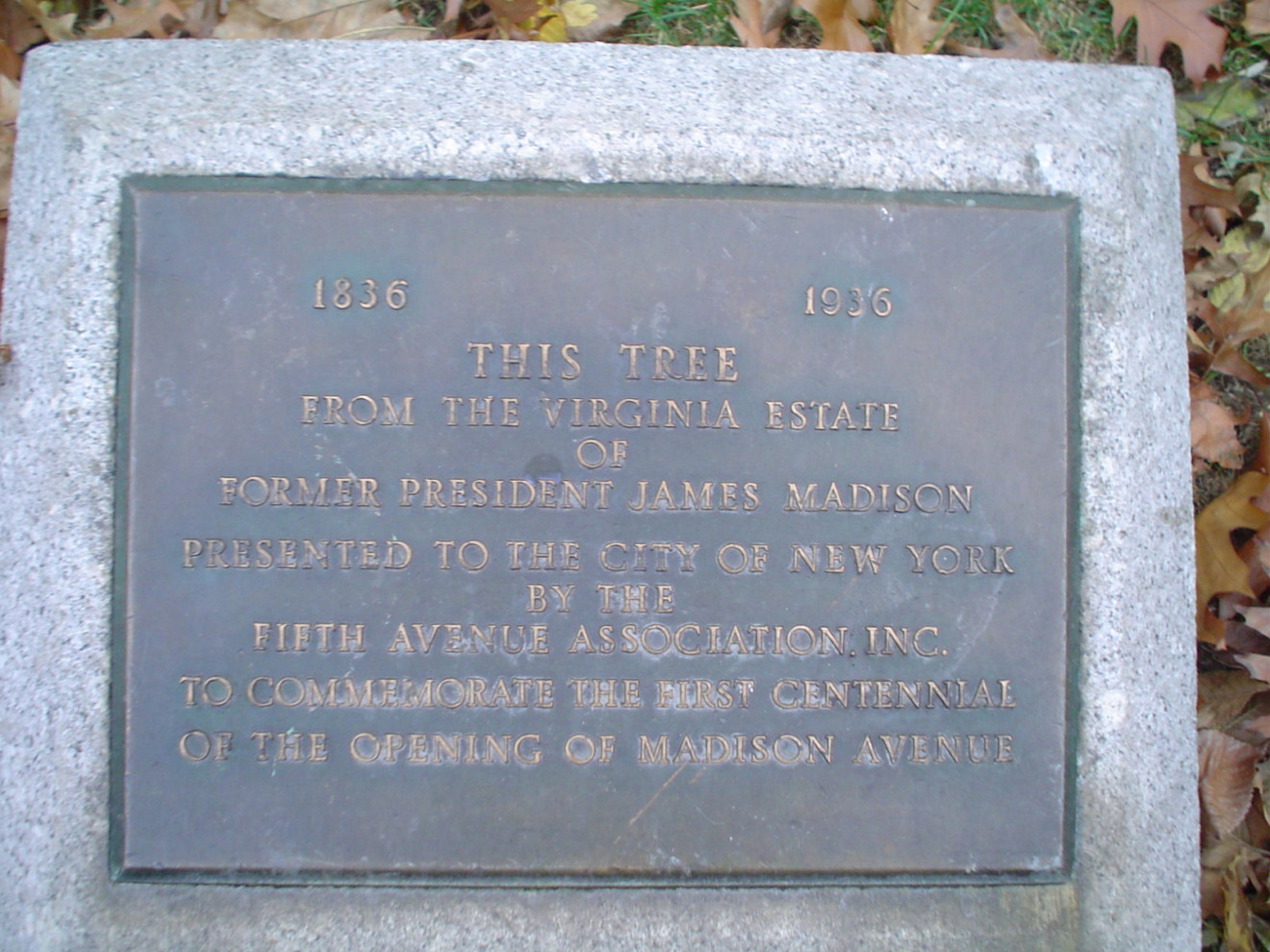 Plaque recessed into plinth