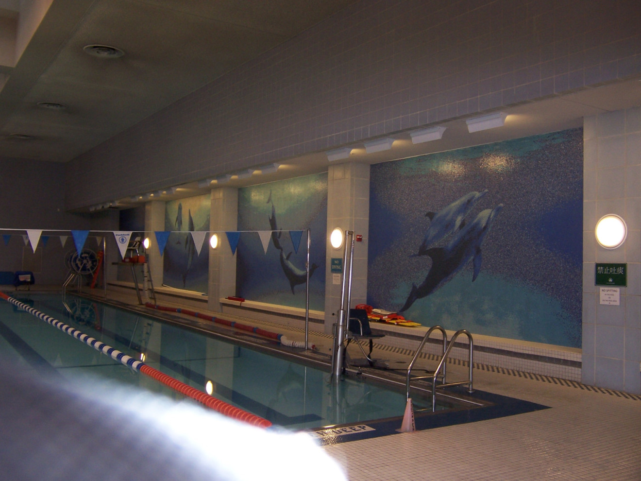 Series of 5 glass mosaics at pool interior