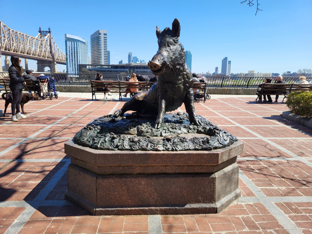 Boar, 2023, NYC Parks