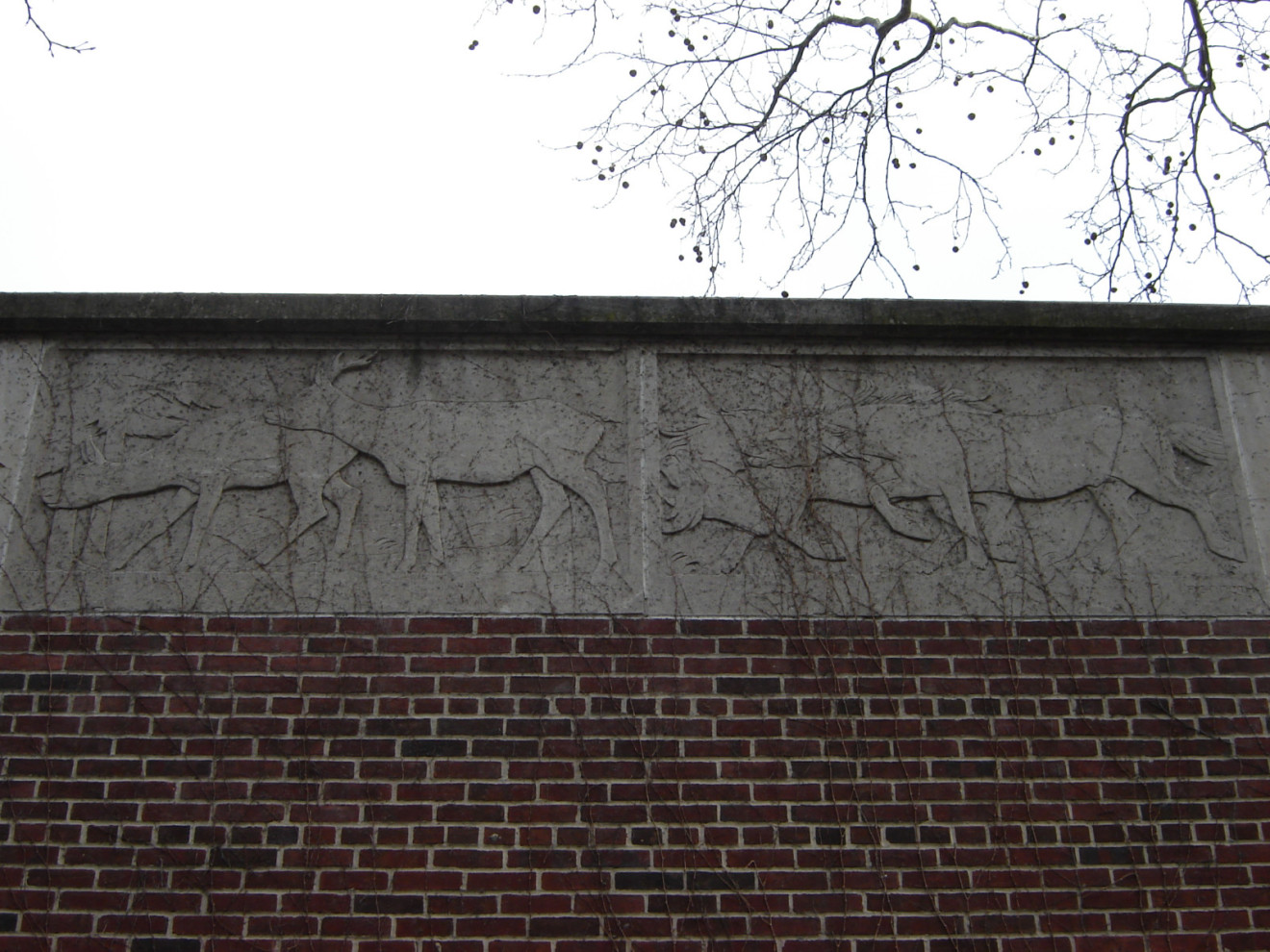Caribou, 2007, NYC Parks