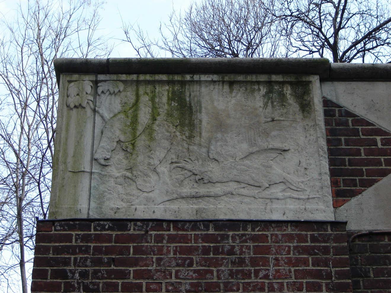 Cockatoos and Ara, 2007, NYC Parks