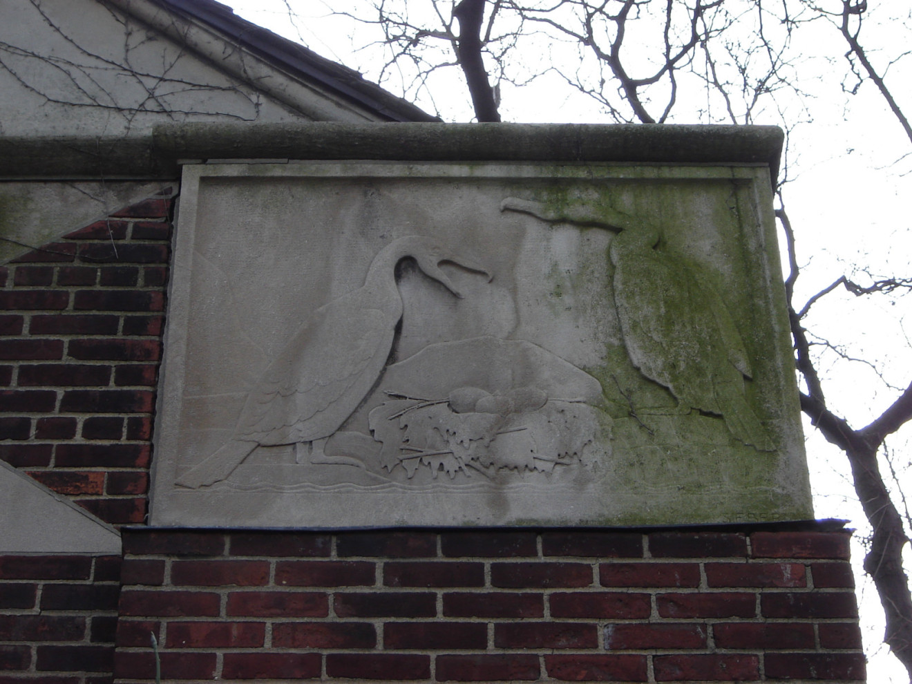 Cormorants, 2007, NYC Parks