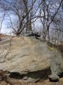 Crouching panther (over life-size) on boulder