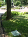 Tablet on plinth, trees