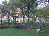 Grove of fifteen cedars with inscribed horizontal marker in ivy bed