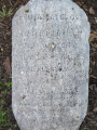 Grove of fifteen cedars with inscribed horizontal marker in ivy bed