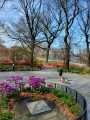 American Memorial to Six Million Jews of Europe, 2024, NYC Parks