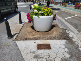 Armenian Grove Plaque, 2023, NYC Parks