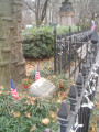 Australian Tree Marker, 2006, NYC Parks
