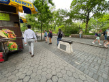 Battery Park Cannon, 2022, NYC Parks