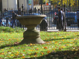Bird Bath, 2016, NYC Parks