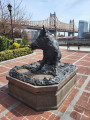 Boar, 2022, NYC Parks
