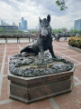 Boar, 2022, NYC Parks