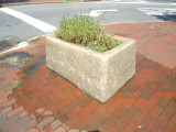Bowdoin Horse Trough I, 2015, NYC Parks