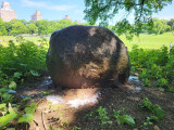 Boy Scout's Tablet, 2024, NYC Parks
