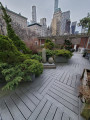 Cactus Couple, 2023, NYC Parks