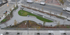Canal Street Fountain, 2009, NYC Parks