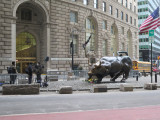 Charging Bull, 2022, NYC Parks
