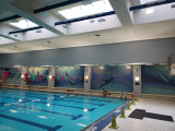Chelsea Recreation Center Mosaics, 2022, NYC Parks