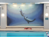 Chelsea Recreation Center Mosaics, 2022, NYC Parks