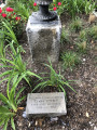 Clara Coffey Tablet, 2022, NYC Parks